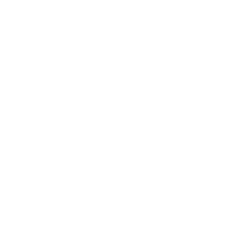 SAVE — Stop Aux Violences d'État